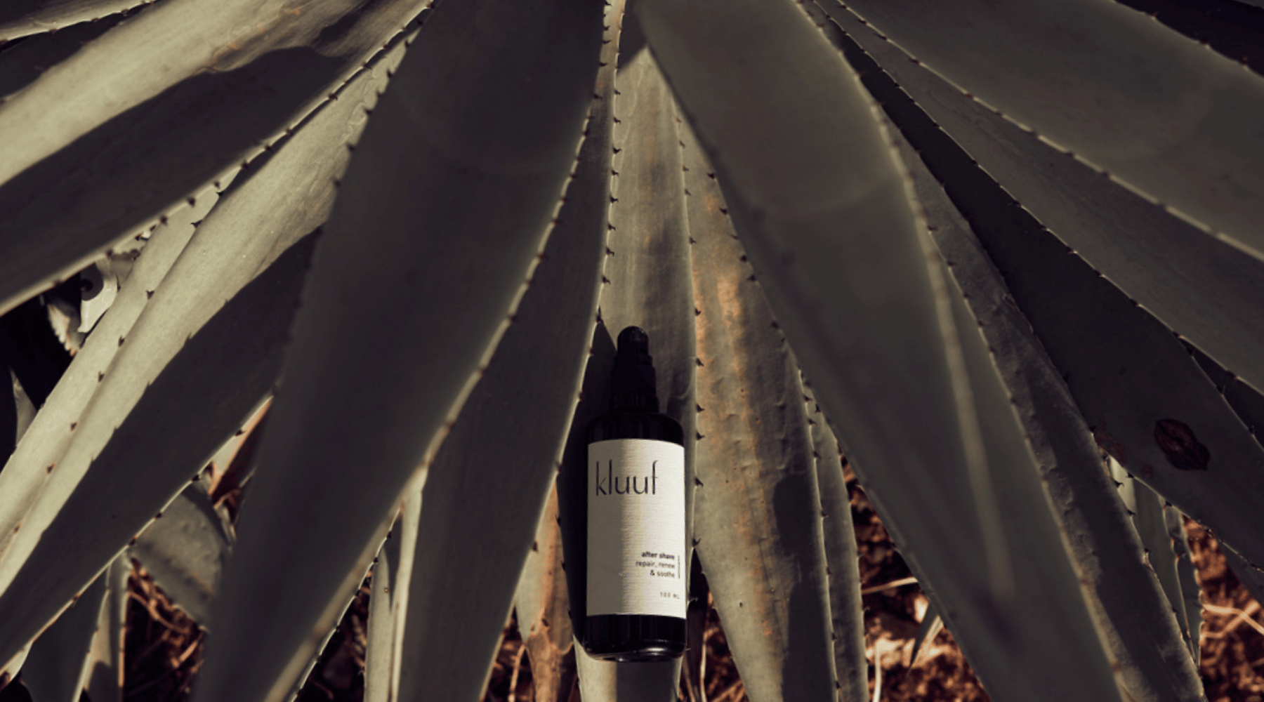 Veganuary: Tipps & Tricks bei veganer Hautpflege