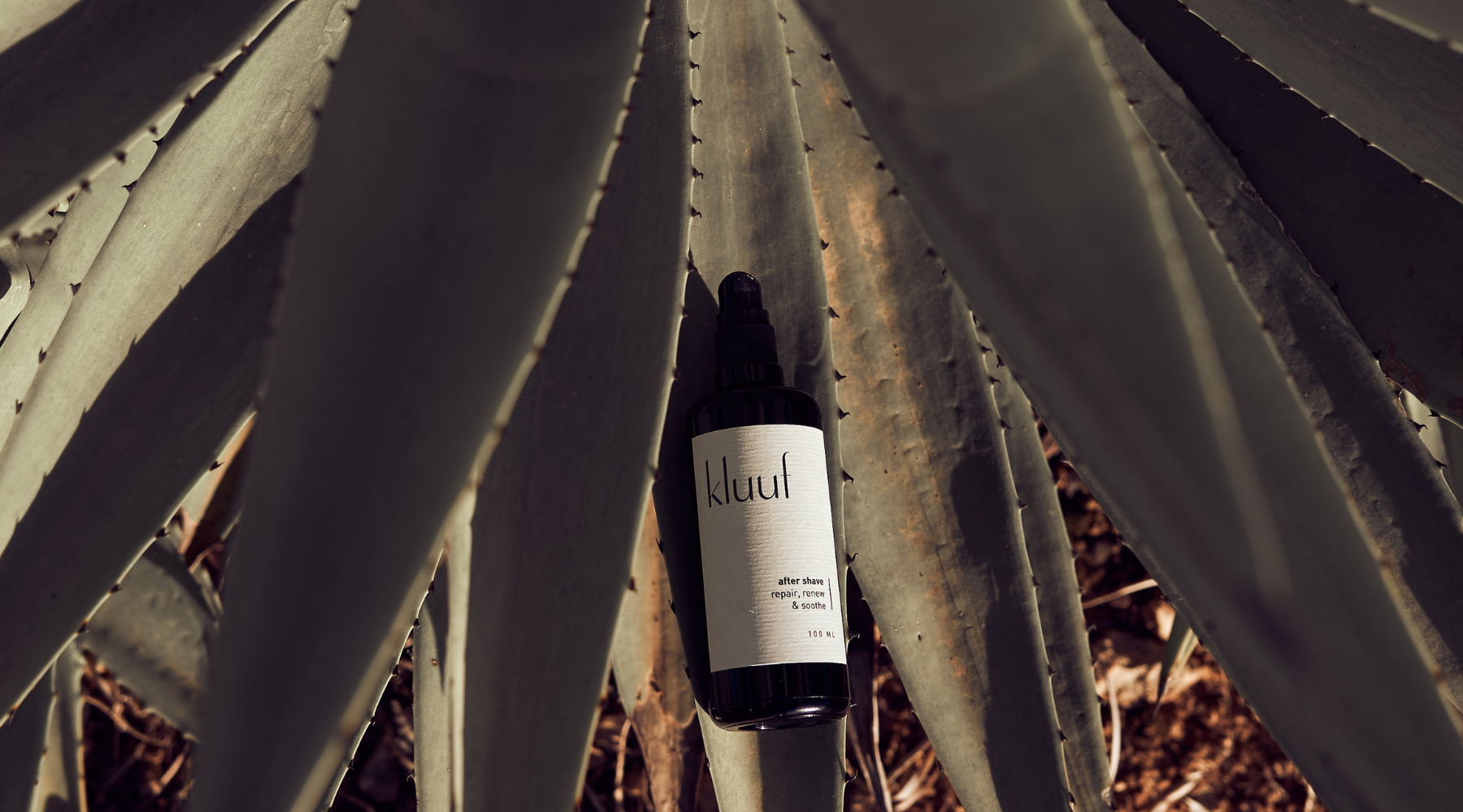 Kluuf's vegan face cream for men positioned on the leaf of an aloe vera plant