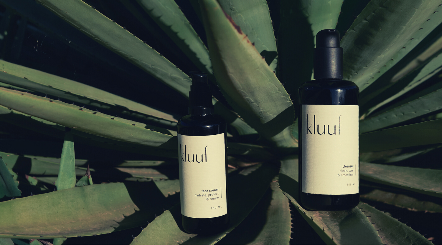 kluuf's vegan face cream and body lotion for men on aloe vera plant